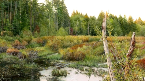Cedar Marsh (4 x 2.25 inches)